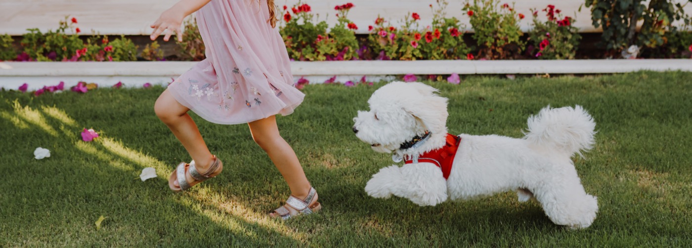 DogWatch of South Florida, Miami, Florida | Outdoor Hidden Dog Fences Slider Image